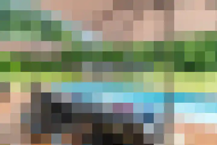 Oeyenbos 16 Knegsel thumbnail 47