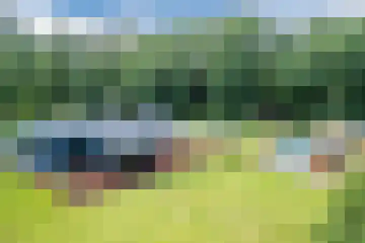 Oeyenbos 16 Knegsel thumbnail 49