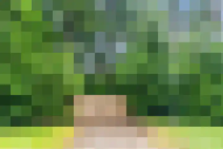 Oeyenbos 16 Knegsel thumbnail 5