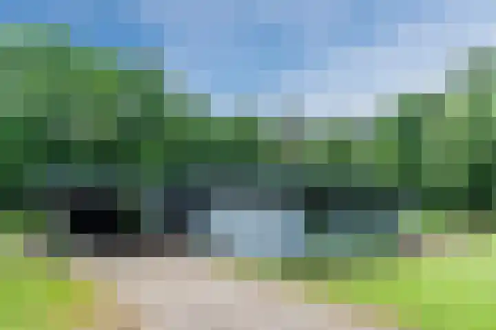Oeyenbos 16 Knegsel thumbnail 51