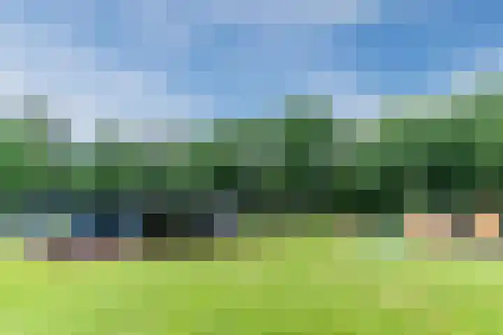 Oeyenbos 16 Knegsel thumbnail 52