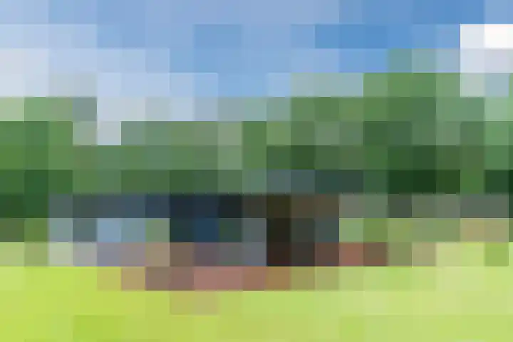 Oeyenbos 16 Knegsel thumbnail 53