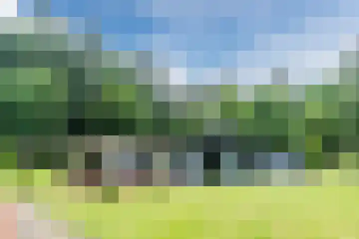 Oeyenbos 16 Knegsel thumbnail 55