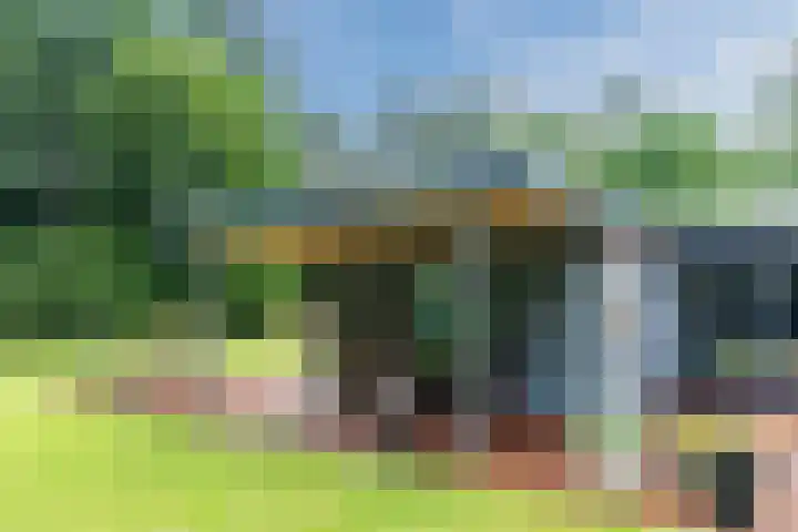 Oeyenbos 16 Knegsel thumbnail 56