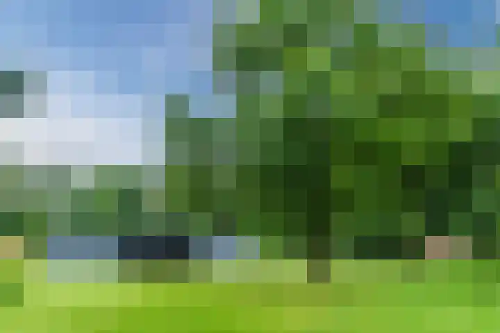 Oeyenbos 16 Knegsel thumbnail 57