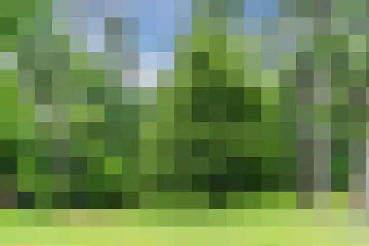Oeyenbos 16 Knegsel thumbnail 60