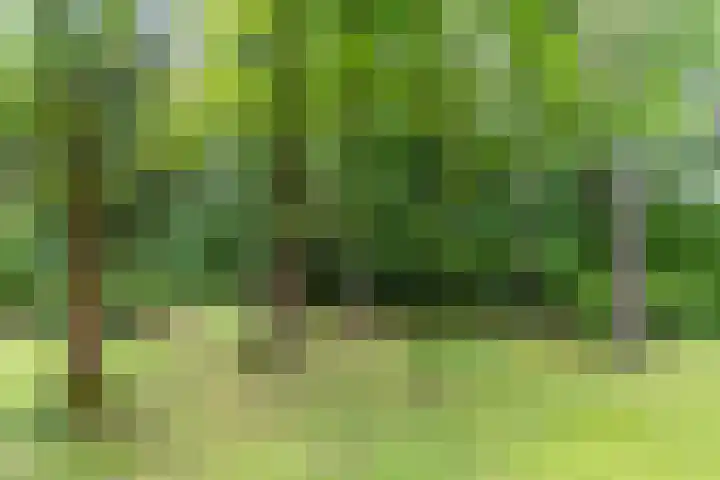 Oeyenbos 16 Knegsel thumbnail 61