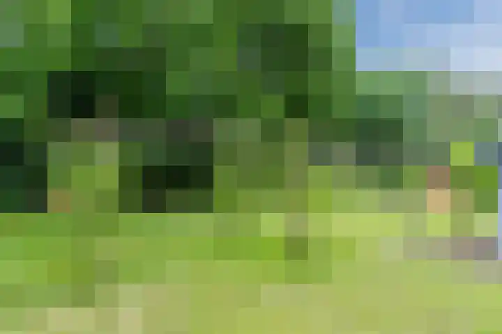 Oeyenbos 16 Knegsel thumbnail 62