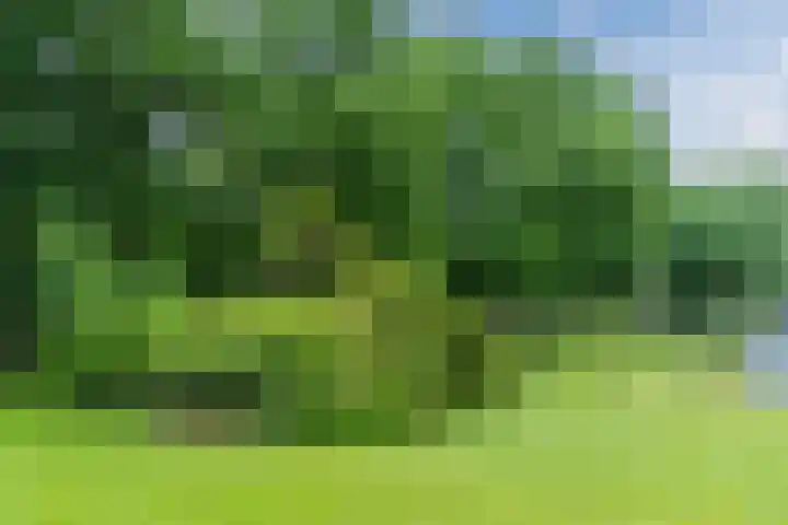 Oeyenbos 16 Knegsel thumbnail 64