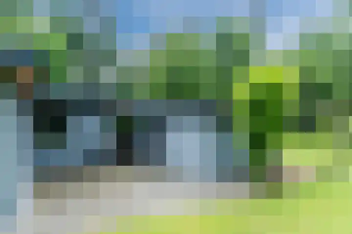Oeyenbos 16 Knegsel thumbnail 65