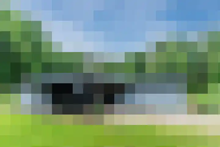 Oeyenbos 16 Knegsel thumbnail 66