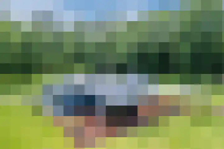 Oeyenbos 16 Knegsel thumbnail 67
