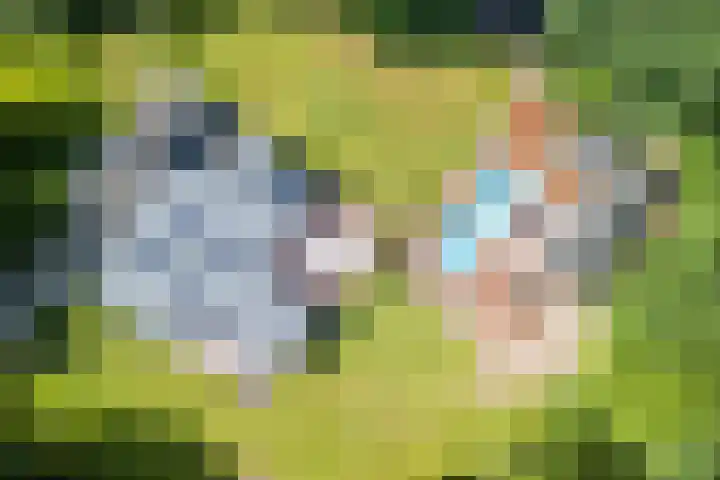 Oeyenbos 16 Knegsel thumbnail 68