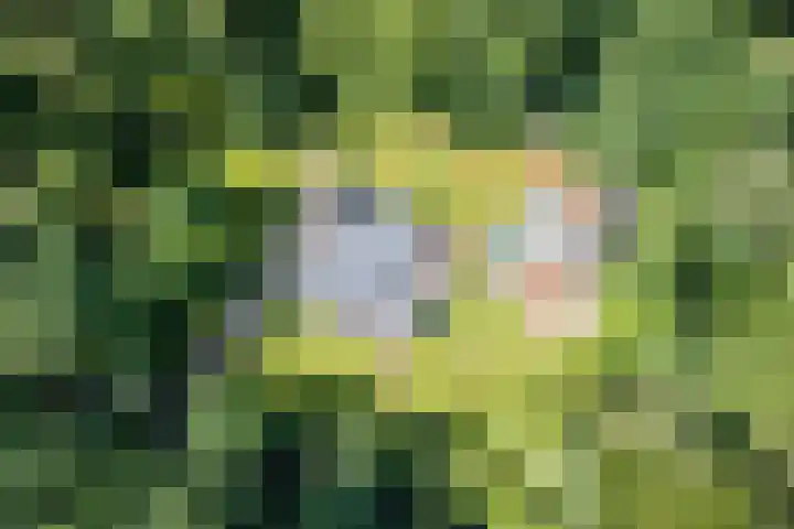Oeyenbos 16 Knegsel thumbnail 69
