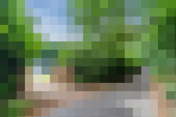 Oeyenbos 16 Knegsel thumbnail 71