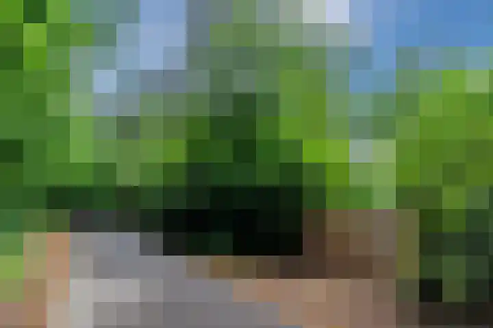 Oeyenbos 16 Knegsel thumbnail 72