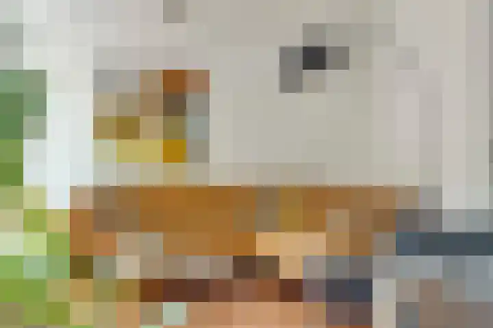 Ofenpas 1 Eindhoven thumbnail 10