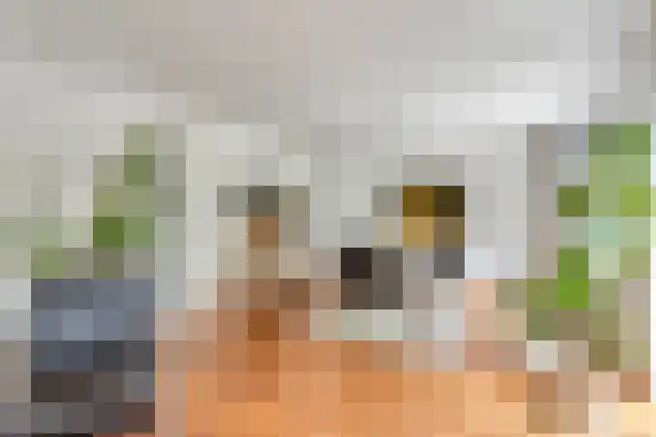 Ofenpas 1 Eindhoven thumbnail 11