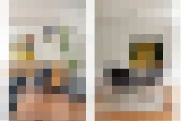 Ofenpas 1 Eindhoven thumbnail 12