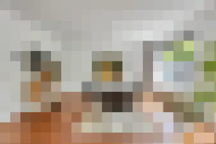 Ofenpas 1 Eindhoven thumbnail 13
