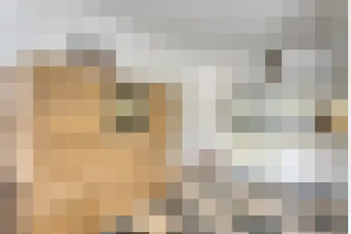 Ofenpas 1 Eindhoven thumbnail 17
