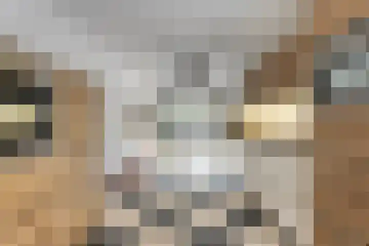 Ofenpas 1 Eindhoven thumbnail 18