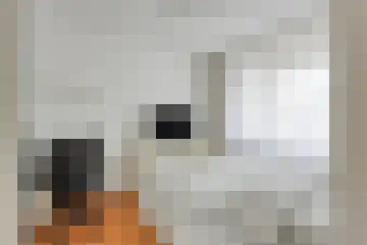 Ofenpas 1 Eindhoven thumbnail 24