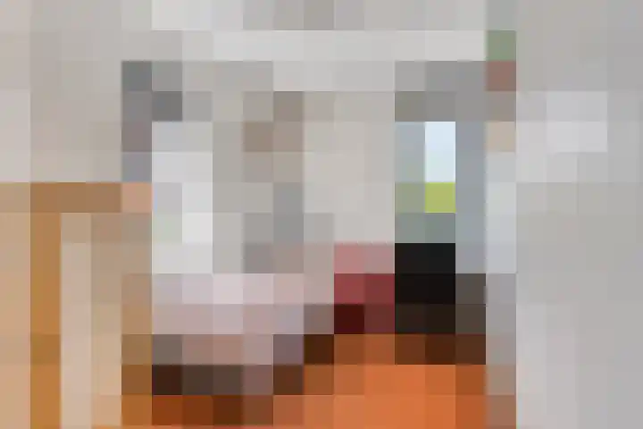 Ofenpas 1 Eindhoven thumbnail 26