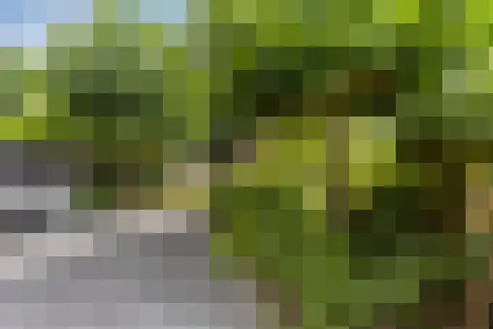 Ofenpas 1 Eindhoven thumbnail 30