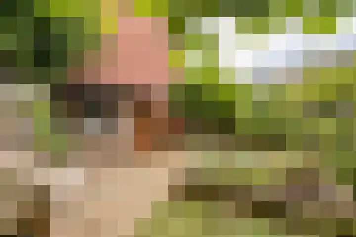 Ofenpas 1 Eindhoven thumbnail 34