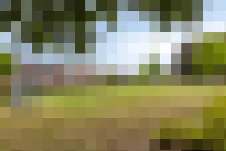 Ofenpas 1 Eindhoven thumbnail 36