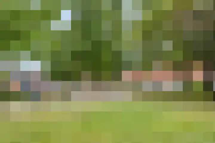 Ofenpas 1 Eindhoven thumbnail 37