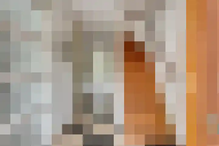 Ofenpas 1 Eindhoven thumbnail 6