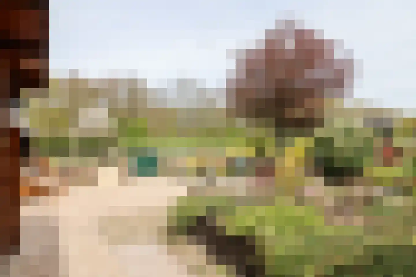 Offemar 20 Leeuwarden thumbnail 53