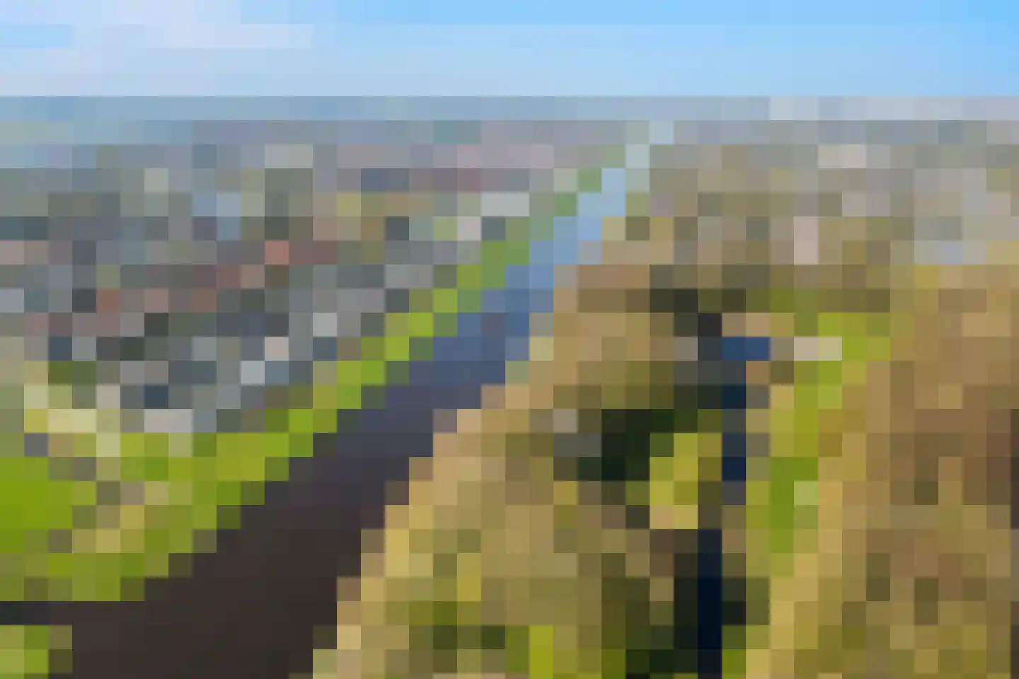 Offemar 20 Leeuwarden thumbnail 76