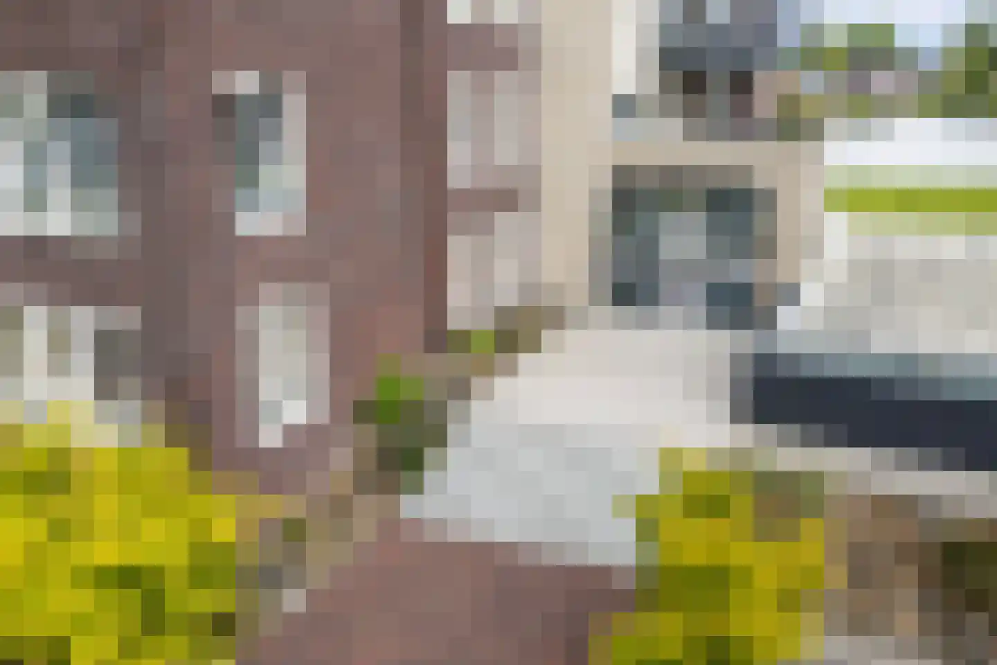Offemar 96 Leeuwarden thumbnail 9