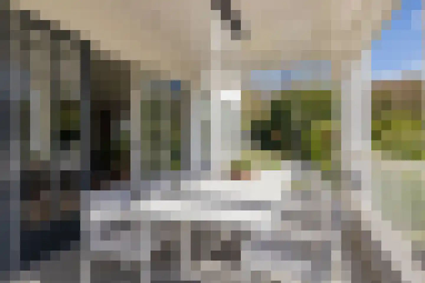 Offemweg 31 Noordwijk thumbnail 28
