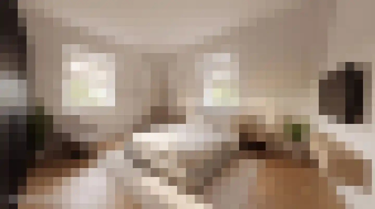 Offemweg 31 Noordwijk thumbnail 52