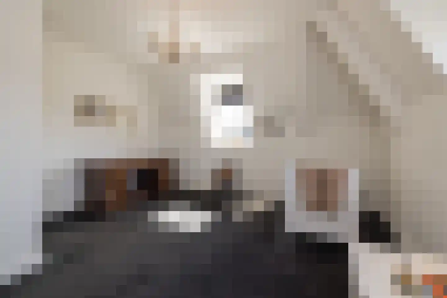 Offemweg 31 Noordwijk thumbnail 54