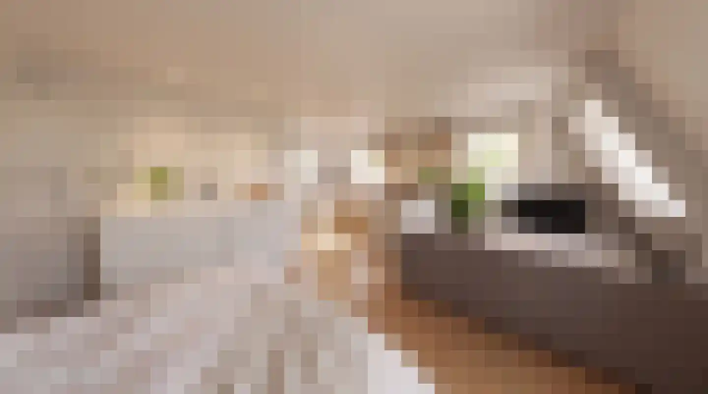 Offemweg 31 Noordwijk thumbnail 76