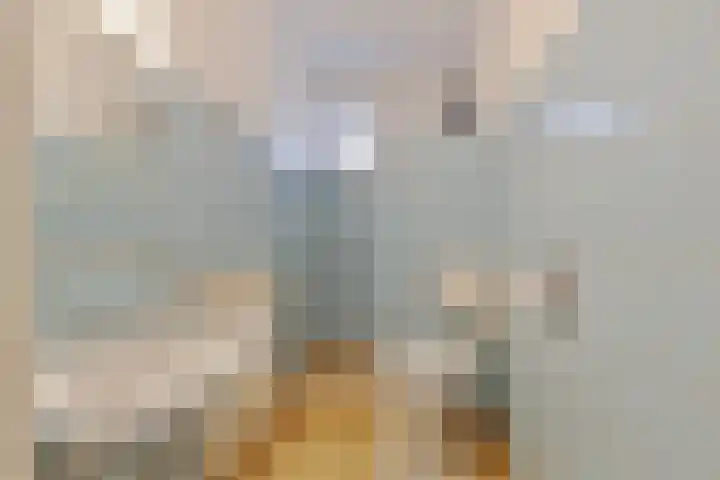 Offemweg 36 A Noordwijk thumbnail 33