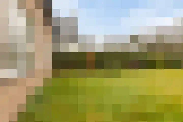 Offemweg 36 A Noordwijk thumbnail 43