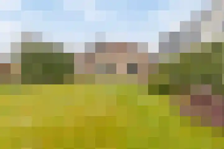 Offemweg 36 A Noordwijk thumbnail 46