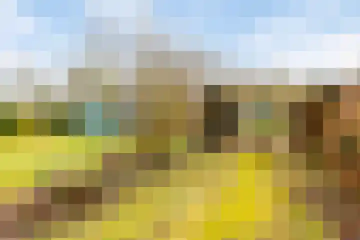 Offemweg 36 A Noordwijk thumbnail 48