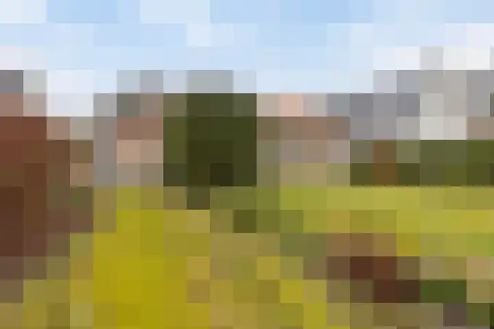 Offemweg 36 A Noordwijk thumbnail 49