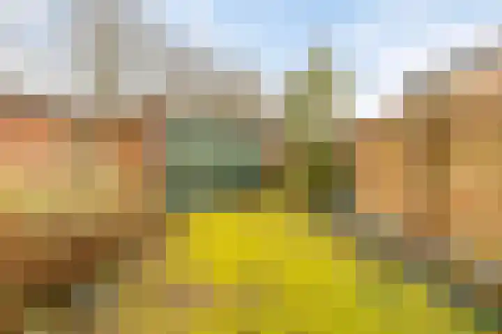 Offemweg 36 A Noordwijk thumbnail 50