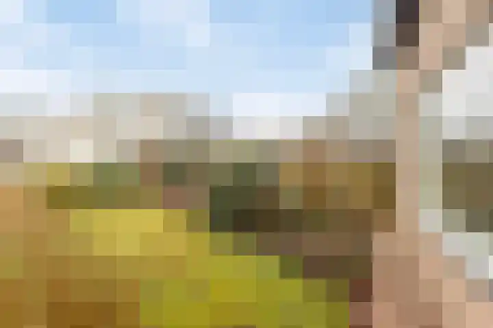 Offemweg 36 A Noordwijk thumbnail 54