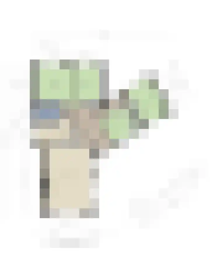 Offemweg 36 A Noordwijk thumbnail 58