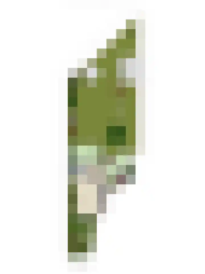 Offemweg 36 A Noordwijk thumbnail 59