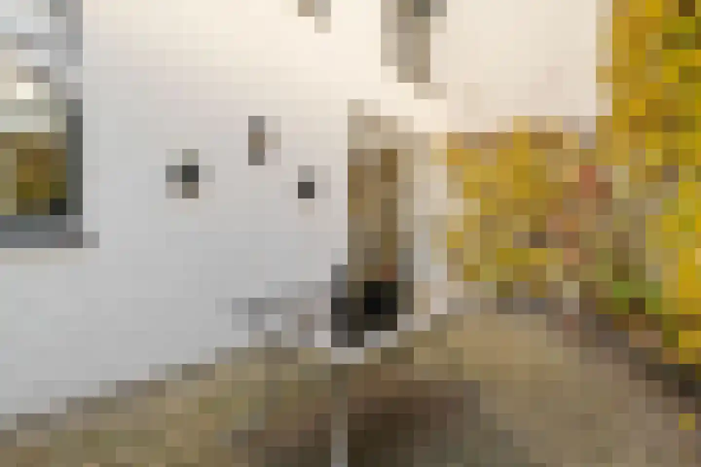 Offemweg 4 Noordwijk thumbnail 11